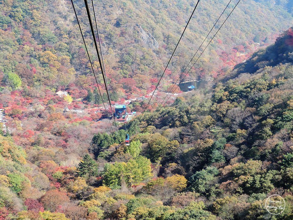 旅遊。全南★來全韓國最美的賞楓景點內藏山看楓葉 - 第37張圖