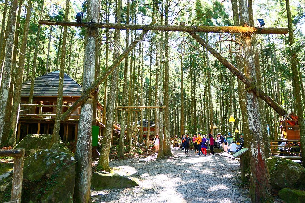 discovery forest 08