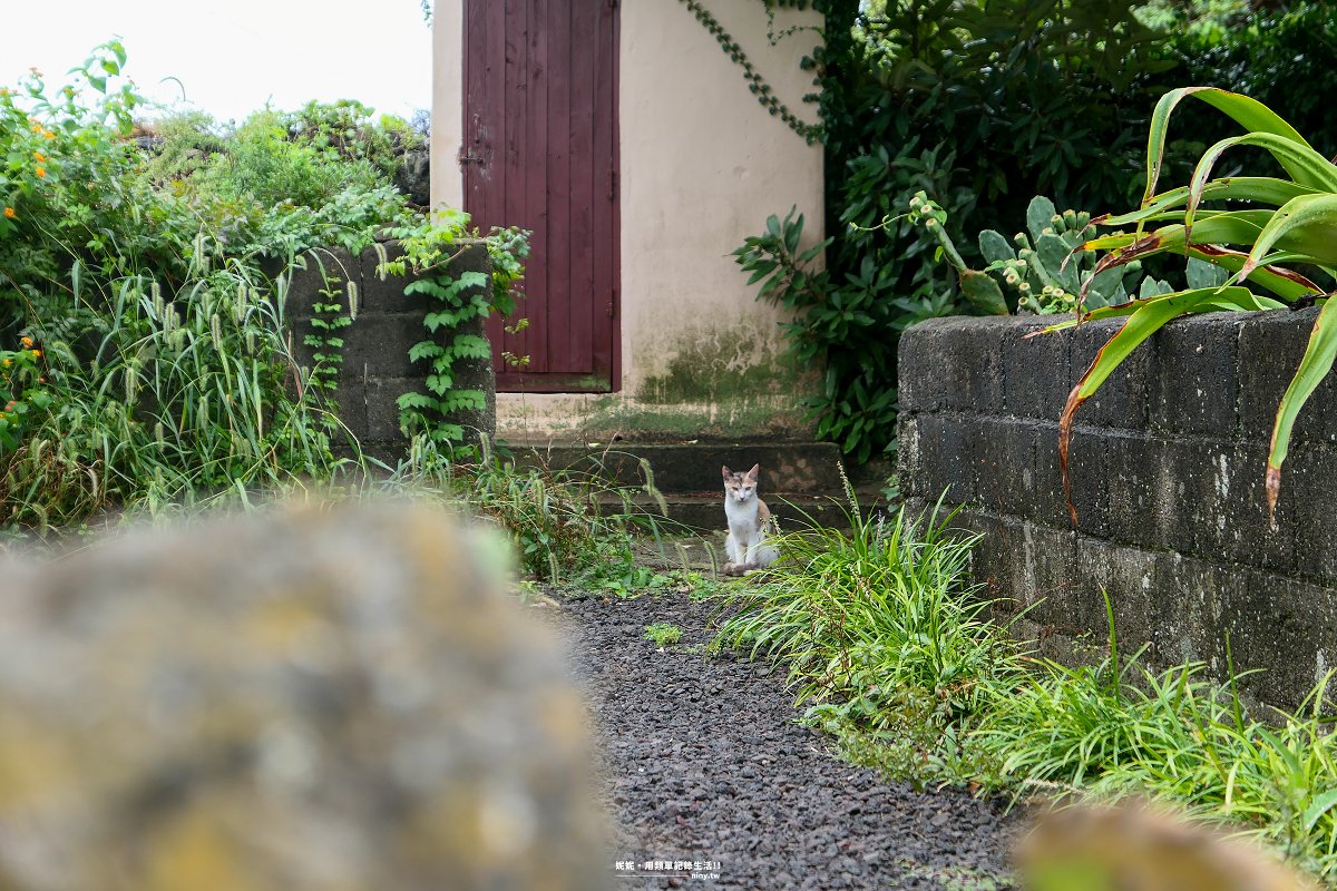 住宿。濟州★喜島Stay Heedo 濟州島東部坪岱里感性旅宿